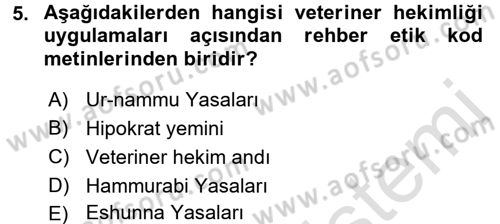 Veteriner Hizmetleri Mevzuatı ve Etik Dersi 2016 - 2017 Yılı (Vize) Ara Sınav Soruları 5. Soru