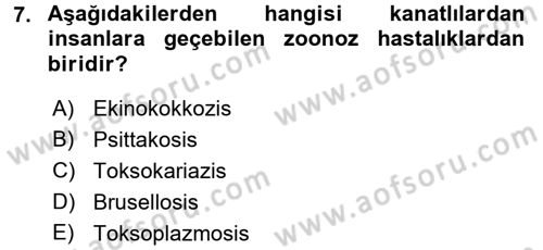 Veteriner Hizmetleri Mevzuatı ve Etik Dersi 2016 - 2017 Yılı (Final) Dönem Sonu Sınav Soruları 7. Soru