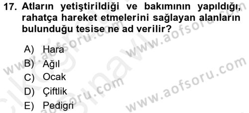 Veteriner Hizmetleri Mevzuatı ve Etik Dersi 2017 - 2018 Yılı 3 Ders Sınav Soruları 17. Soru