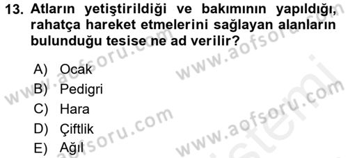 Veteriner Hizmetleri Mevzuatı ve Etik Dersi 2017 - 2018 Yılı (Final) Dönem Sonu Sınav Soruları 13. Soru