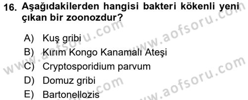 Veteriner Hizmetleri Mevzuatı ve Etik Dersi 2017 - 2018 Yılı (Final) Dönem Sonu Sınav Soruları 16. Soru