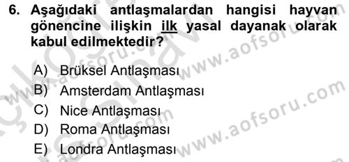 Veteriner Hizmetleri Mevzuatı ve Etik Dersi 2018 - 2019 Yılı 3 Ders Sınav Soruları 6. Soru