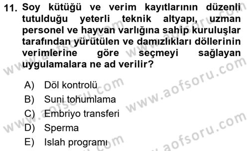 Veteriner Hizmetleri Mevzuatı ve Etik Dersi 2018 - 2019 Yılı (Final) Dönem Sonu Sınav Soruları 11. Soru