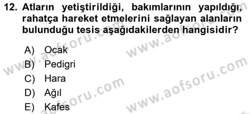 Veteriner Hizmetleri Mevzuatı ve Etik Dersi 2018 - 2019 Yılı (Final) Dönem Sonu Sınav Soruları 12. Soru