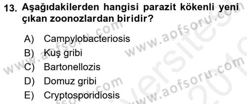 Veteriner Hizmetleri Mevzuatı ve Etik Dersi 2018 - 2019 Yılı (Final) Dönem Sonu Sınav Soruları 13. Soru
