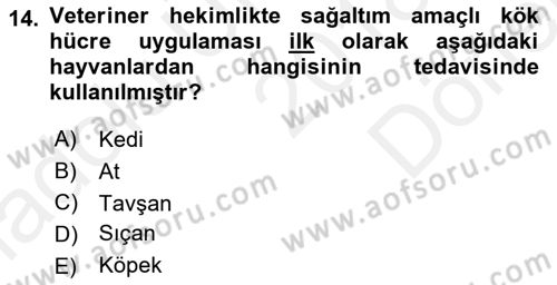 Veteriner Hizmetleri Mevzuatı ve Etik Dersi 2018 - 2019 Yılı (Final) Dönem Sonu Sınav Soruları 14. Soru
