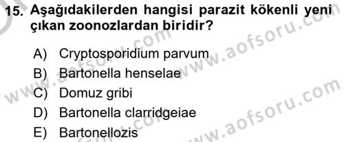 Veteriner Hizmetleri Mevzuatı ve Etik Dersi 2018 - 2019 Yılı Yaz Okulu Sınav Soruları 15. Soru
