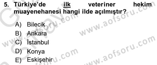 Veteriner Hizmetleri Mevzuatı ve Etik Dersi 2019 - 2020 Yılı (Vize) Ara Sınav Soruları 5. Soru
