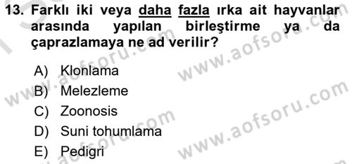 Veteriner Hizmetleri Mevzuatı ve Etik Dersi 2019 - 2020 Yılı (Final) Dönem Sonu Sınav Soruları 13. Soru