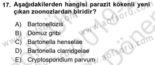 Veteriner Hizmetleri Mevzuatı ve Etik Dersi 2019 - 2020 Yılı (Final) Dönem Sonu Sınav Soruları 17. Soru