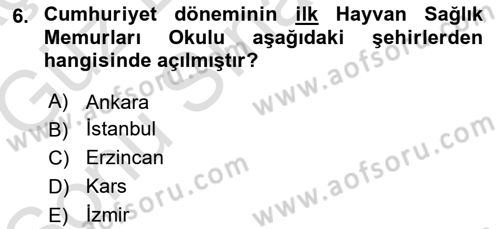 Veteriner Hizmetleri Mevzuatı ve Etik Dersi 2019 - 2020 Yılı (Final) Dönem Sonu Sınav Soruları 6. Soru