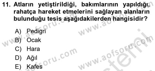 Veteriner Hizmetleri Mevzuatı ve Etik Dersi 2020 - 2021 Yılı Yaz Okulu Sınav Soruları 11. Soru