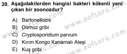 Veteriner Hizmetleri Mevzuatı ve Etik Dersi 2020 - 2021 Yılı Yaz Okulu Sınav Soruları 20. Soru