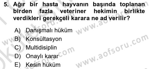 Veteriner Hizmetleri Mevzuatı ve Etik Dersi 2020 - 2021 Yılı Yaz Okulu Sınav Soruları 5. Soru