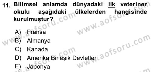 Veteriner Hizmetleri Mevzuatı ve Etik Dersi 2021 - 2022 Yılı (Vize) Ara Sınav Soruları 11. Soru