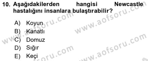 Veteriner Hizmetleri Mevzuatı ve Etik Dersi 2021 - 2022 Yılı (Final) Dönem Sonu Sınav Soruları 10. Soru
