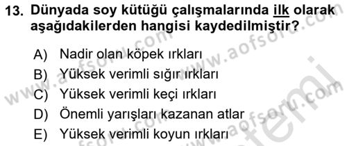 Veteriner Hizmetleri Mevzuatı ve Etik Dersi 2021 - 2022 Yılı (Final) Dönem Sonu Sınav Soruları 13. Soru