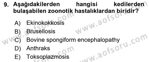 Veteriner Hizmetleri Mevzuatı ve Etik Dersi 2021 - 2022 Yılı (Final) Dönem Sonu Sınav Soruları 9. Soru