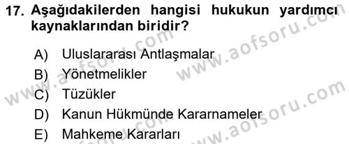 Veteriner Hizmetleri Mevzuatı ve Etik Dersi 2021 - 2022 Yılı Yaz Okulu Sınav Soruları 17. Soru