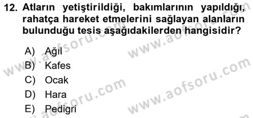 Veteriner Hizmetleri Mevzuatı ve Etik Dersi 2022 - 2023 Yılı (Final) Dönem Sonu Sınav Soruları 12. Soru
