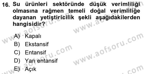 Veteriner Hizmetleri Mevzuatı ve Etik Dersi 2022 - 2023 Yılı (Final) Dönem Sonu Sınav Soruları 16. Soru