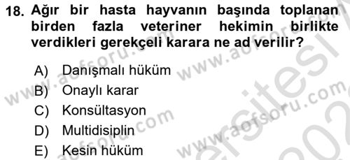 Veteriner Hizmetleri Mevzuatı ve Etik Dersi 2022 - 2023 Yılı (Final) Dönem Sonu Sınav Soruları 18. Soru