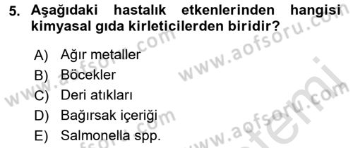 Veteriner Hizmetleri Mevzuatı ve Etik Dersi 2022 - 2023 Yılı (Final) Dönem Sonu Sınav Soruları 5. Soru