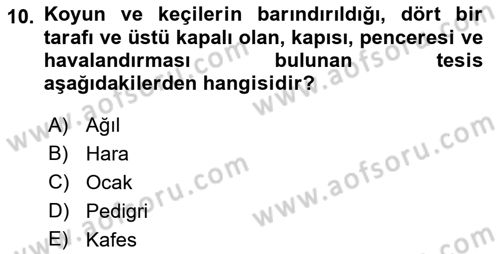 Veteriner Hizmetleri Mevzuatı ve Etik Dersi 2022 - 2023 Yılı Yaz Okulu Sınav Soruları 10. Soru