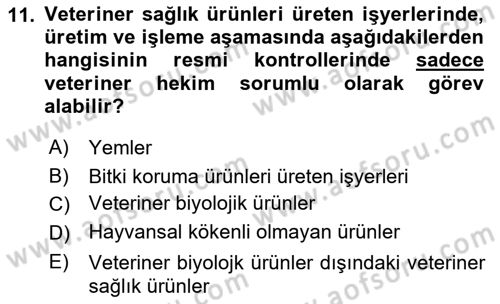 Veteriner Hizmetleri Mevzuatı ve Etik Dersi 2022 - 2023 Yılı Yaz Okulu Sınav Soruları 11. Soru