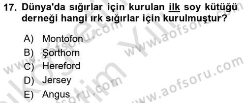 Veteriner Hizmetleri Mevzuatı ve Etik Dersi 2022 - 2023 Yılı Yaz Okulu Sınav Soruları 17. Soru