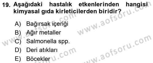 Veteriner Hizmetleri Mevzuatı ve Etik Dersi 2022 - 2023 Yılı Yaz Okulu Sınav Soruları 19. Soru