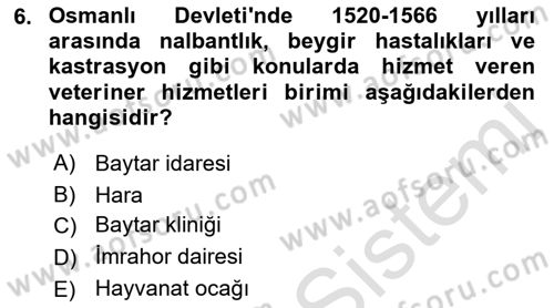 Veteriner Hizmetleri Mevzuatı ve Etik Dersi 2022 - 2023 Yılı Yaz Okulu Sınav Soruları 6. Soru