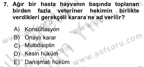 Veteriner Hizmetleri Mevzuatı ve Etik Dersi 2022 - 2023 Yılı Yaz Okulu Sınav Soruları 7. Soru