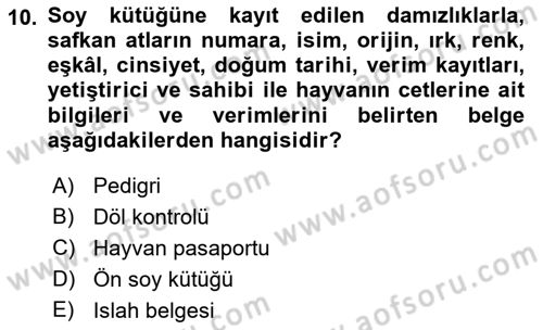 Veteriner Hizmetleri Mevzuatı ve Etik Dersi 2023 - 2024 Yılı (Final) Dönem Sonu Sınav Soruları 10. Soru