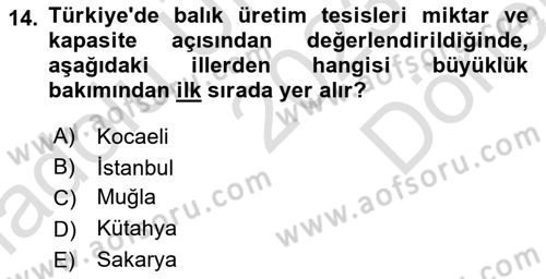 Veteriner Hizmetleri Mevzuatı ve Etik Dersi 2023 - 2024 Yılı (Final) Dönem Sonu Sınavı 14. Soru