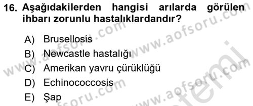 Veteriner Hizmetleri Mevzuatı ve Etik Dersi 2023 - 2024 Yılı (Final) Dönem Sonu Sınav Soruları 16. Soru