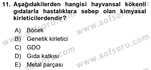 Veteriner Hizmetleri Mevzuatı ve Etik Dersi 2023 - 2024 Yılı Yaz Okulu Sınav Soruları 11. Soru