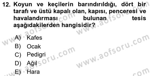 Veteriner Hizmetleri Mevzuatı ve Etik Dersi 2023 - 2024 Yılı Yaz Okulu Sınav Soruları 12. Soru