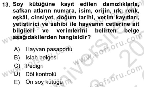 Veteriner Hizmetleri Mevzuatı ve Etik Dersi 2023 - 2024 Yılı Yaz Okulu Sınav Soruları 13. Soru