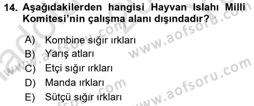 Veteriner Hizmetleri Mevzuatı ve Etik Dersi 2023 - 2024 Yılı Yaz Okulu Sınav Soruları 14. Soru