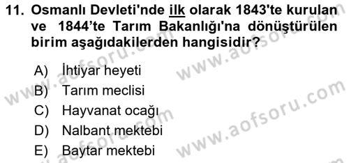 Veteriner Hizmetleri Mevzuatı ve Etik Dersi 2024 - 2025 Yılı (Vize) Ara Sınav Soruları 11. Soru