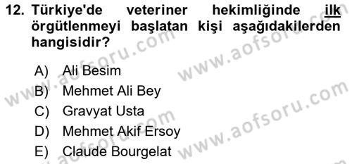 Veteriner Hizmetleri Mevzuatı ve Etik Dersi 2024 - 2025 Yılı (Vize) Ara Sınav Soruları 12. Soru