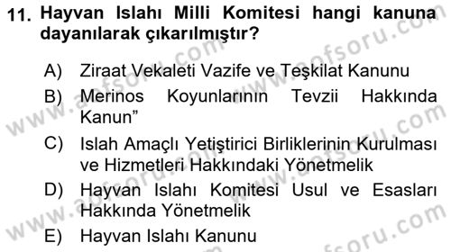 Veteriner Hizmetleri Mevzuatı ve Etik Dersi 2024 - 2025 Yılı (Final) Dönem Sonu Sınav Soruları 11. Soru