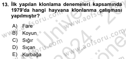 Veteriner Hizmetleri Mevzuatı ve Etik Dersi 2024 - 2025 Yılı (Final) Dönem Sonu Sınav Soruları 13. Soru