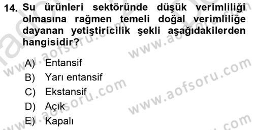 Veteriner Hizmetleri Mevzuatı ve Etik Dersi 2024 - 2025 Yılı (Final) Dönem Sonu Sınav Soruları 14. Soru