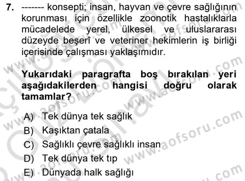 Veteriner Hizmetleri Mevzuatı ve Etik Dersi 2024 - 2025 Yılı (Final) Dönem Sonu Sınav Soruları 7. Soru