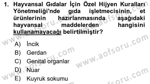 Veteriner Hizmetleri Mevzuatı ve Etik Dersi 2024 - 2025 Yılı Yaz Okulu Sınav Soruları 1. Soru