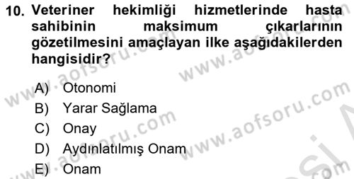 Veteriner Hizmetleri Mevzuatı ve Etik Dersi 2024 - 2025 Yılı Yaz Okulu Sınav Soruları 10. Soru