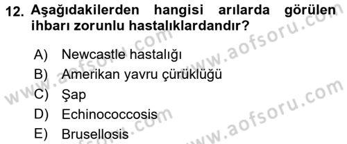Veteriner Hizmetleri Mevzuatı ve Etik Dersi 2024 - 2025 Yılı Yaz Okulu Sınav Soruları 12. Soru