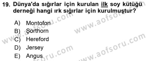 Veteriner Hizmetleri Mevzuatı ve Etik Dersi 2024 - 2025 Yılı Yaz Okulu Sınav Soruları 19. Soru